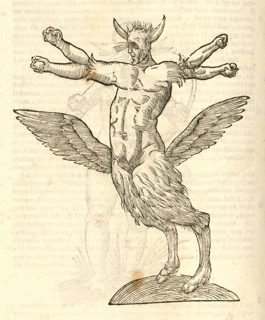 kuva Monsterista Aldrovandis History of Monsters -julkaisusta 1642 tekijältä Italian School