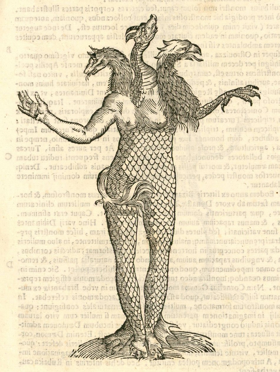 kuva kolmipäisestä hirviöstä, jossa on ketun, lohikäärmeen ja kotkan pää, Aldrovandis History of Monsters, 1642 tekijältä Italian School