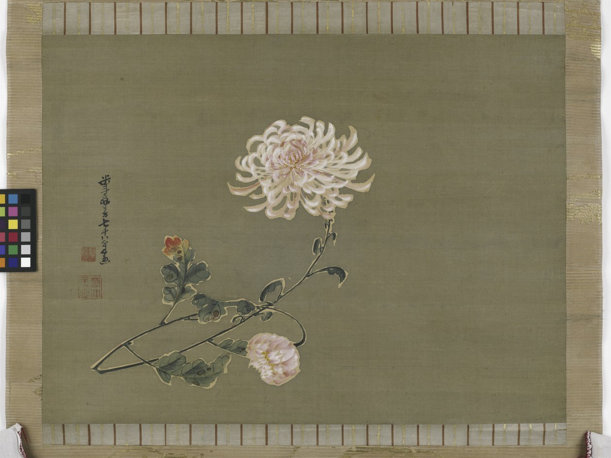 Krysanteemi, Edo-kausi, 1791 (muste ja väri silkillä) tekijältä Ito Jakuchu