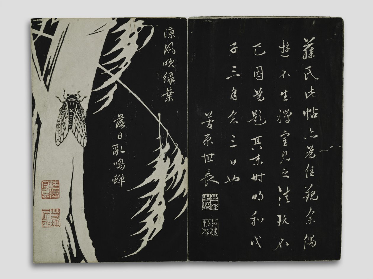 Bulaklak ng Kun-lun Mountains (Gempô Yôka) Panahon ng Edo (woodblock print)finn tekijältä Ito Jakuchu