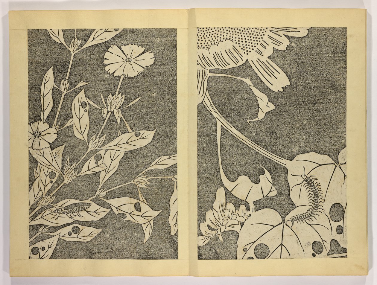 Jakuch? gaj?, c.1910 (woodblock print)finn tekijältä Ito attr. to Jakuchu