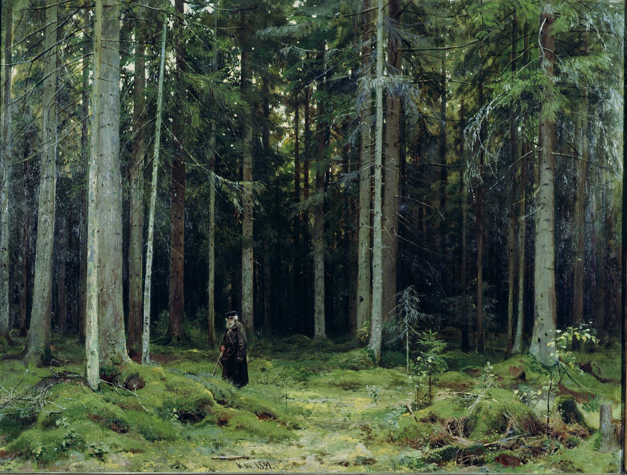 Kreivitär Mordvinovin metsä, 1891 tekijältä Ivan Ivanovich Shishkin