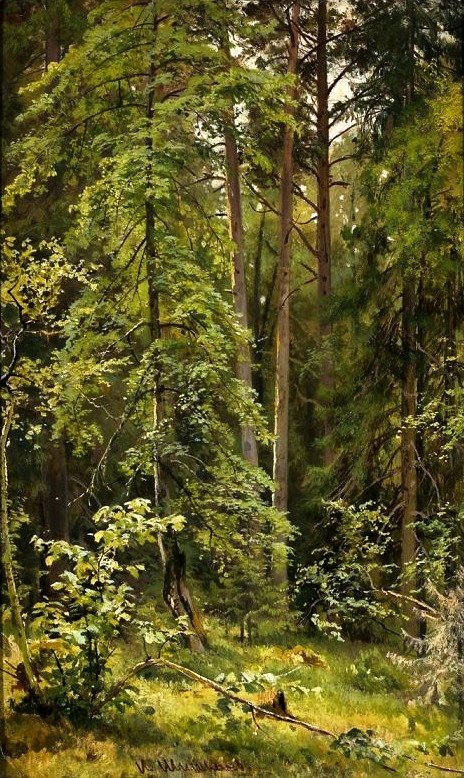 Metsä. tekijältä Ivan Ivanovich Shishkin