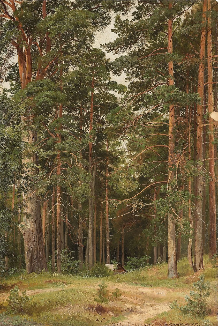 Kesäpäivä, Merikiul, 1895 tekijältä Ivan Ivanovich Shishkin