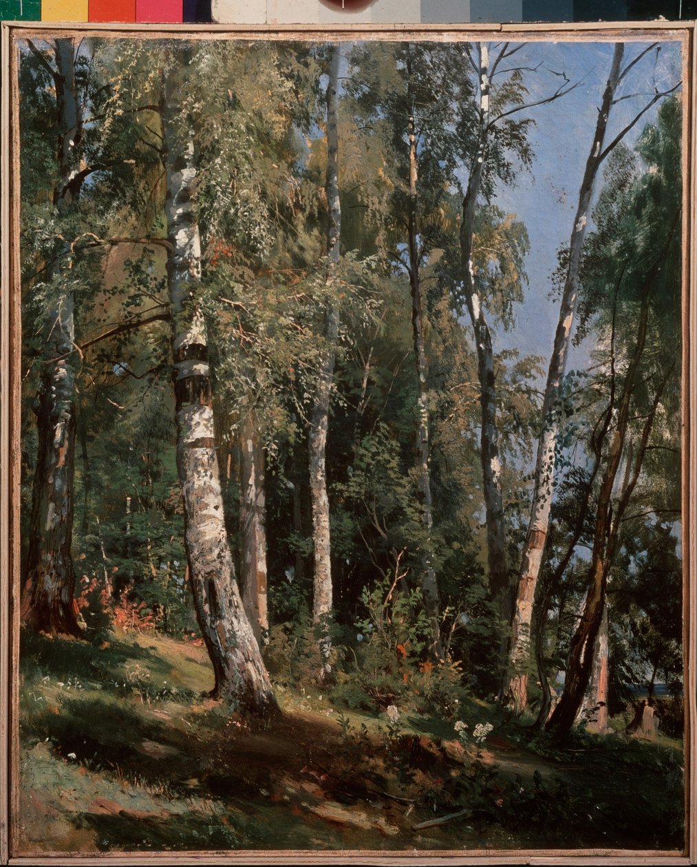 Koivulehto (Birch grove) - maalaus Ivan Ivanovich Shishkin (Shishkin) (1832-1898), öljy kankaalle tekijältä Ivan Ivanovich Shishkin