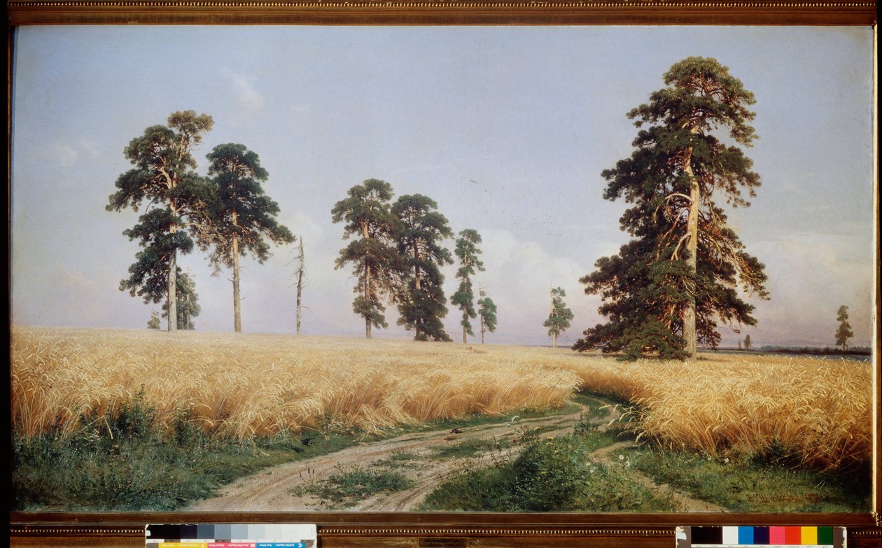 Champ de Seigle (Rieu-kenttä) - Peinture de Ivan Ivanovich Shishkin (Chichkine) (1832-1898), huile sir toile tekijältä Ivan Ivanovich Shishkin