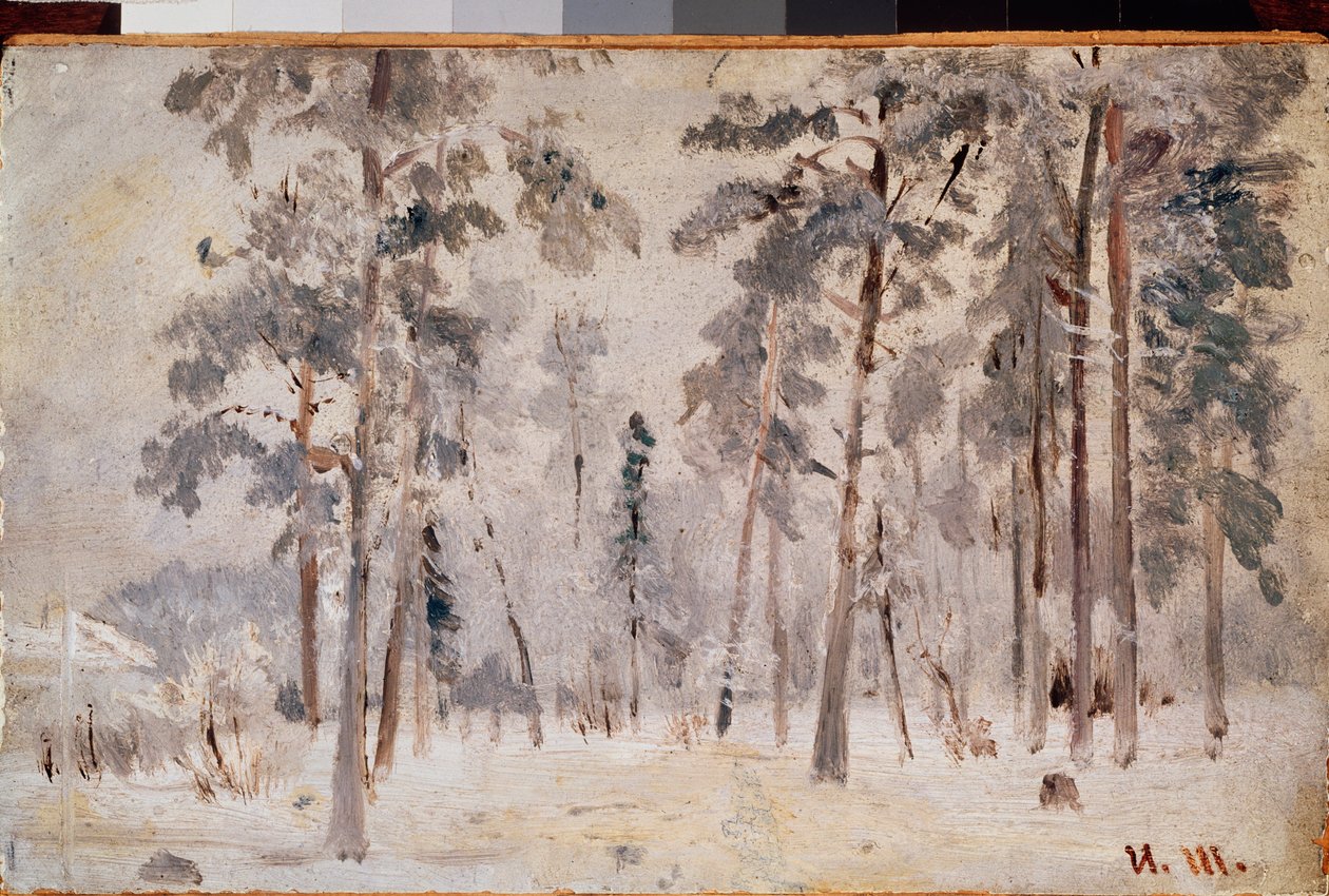 Frost (Kuura) - maalaus Ivan Ivanovich Shishkin (Shishkin) (1832-1898), öljy kankaalle, noin 1890 - venäläinen taide, 1800-luvun maisema - Valtion Tretjakovin galleria, Moskova tekijältä Ivan Ivanovich Shishkin
