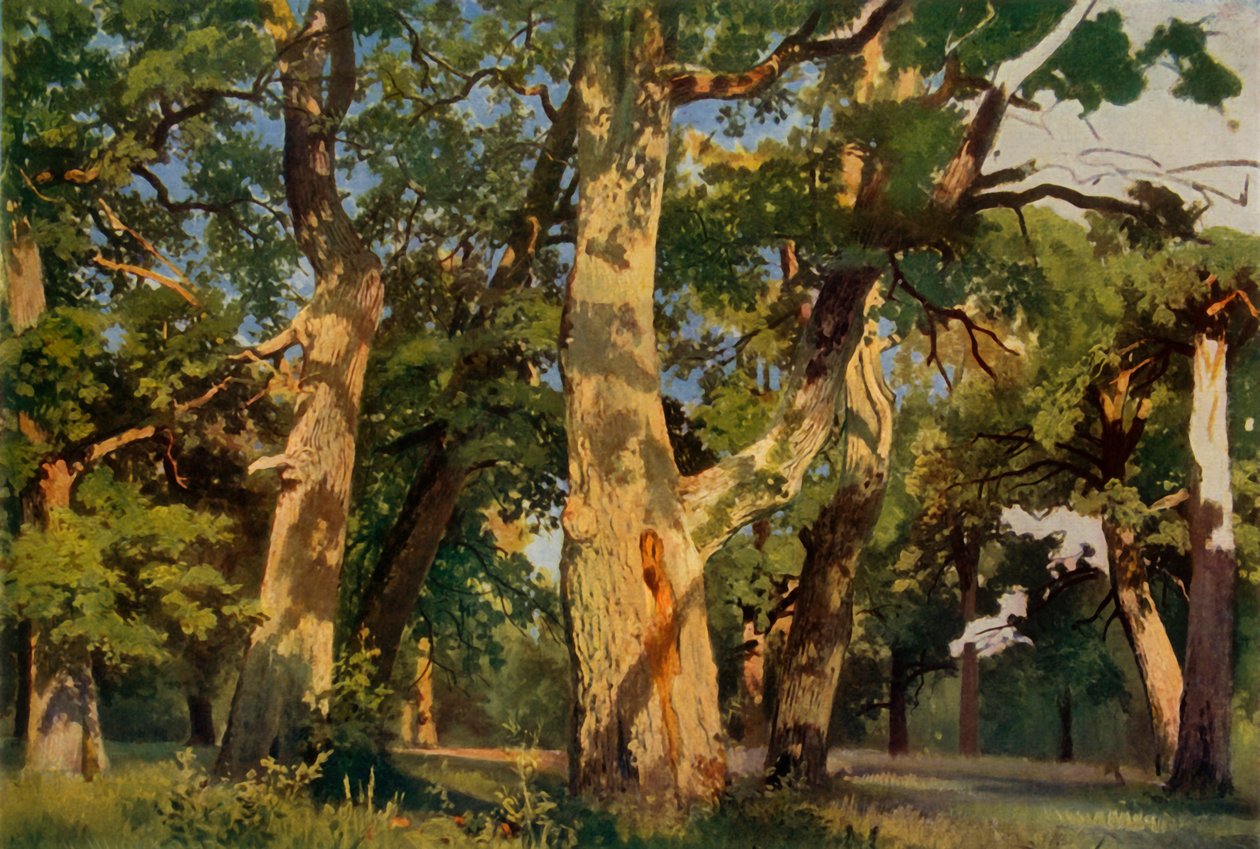 Oak Trees at Eventide, 1887, 1965. tekijältä Ivan Ivanovich Shishkin