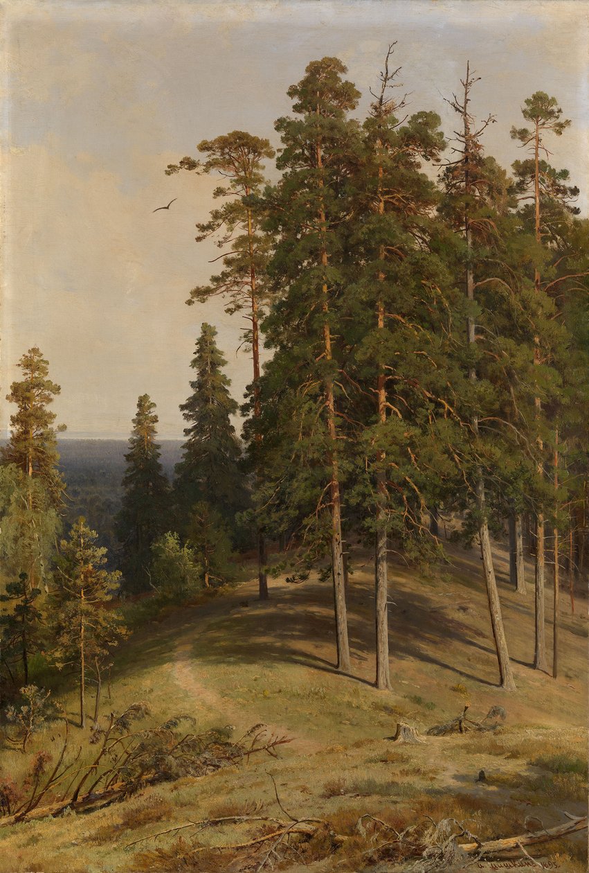 Mäntymetsä, 1895 tekijältä Ivan Ivanovich Shishkin
