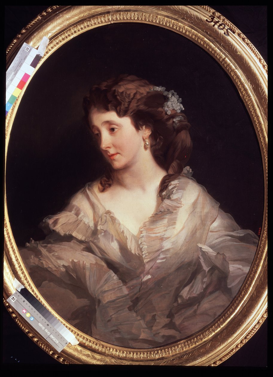 Alexandra Chelischevan muotokuva. (A. Chelischevan muotokuva). Ivan Kosmich Makarovin (1822-1897) maalaus, öljy kankaalle, noin 1860. Venäläistä taidetta, 1800-luvun muotokuva. Valtion Tretjakovin galleria, Moskova. tekijältä Ivan Kosmich Makarov