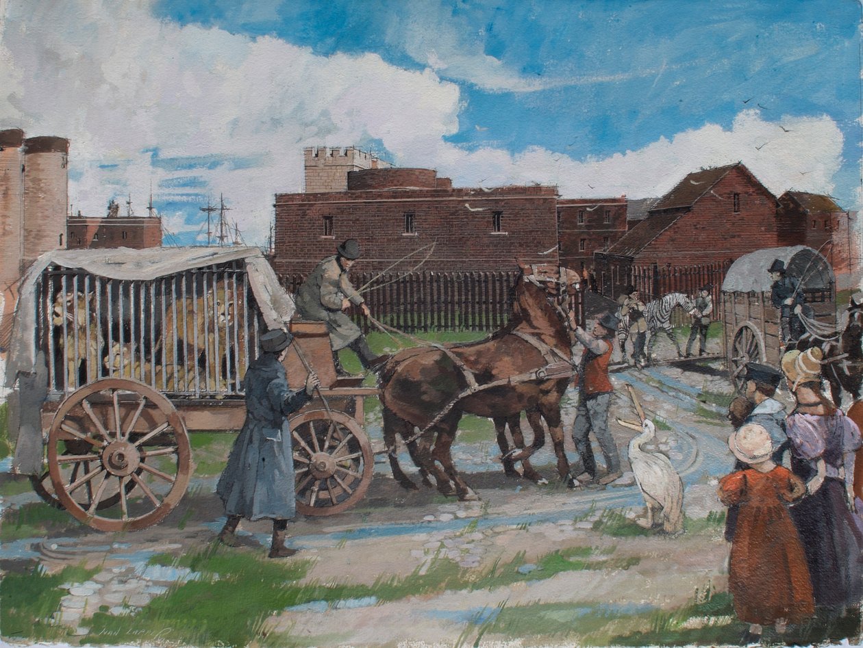 Rekonstruoitu näkymä kuninkaallisen eläintarhan eläimistä, jotka lähtevät Lontoon Towerista noin vuonna 1841. tekijältä Ivan Lapper