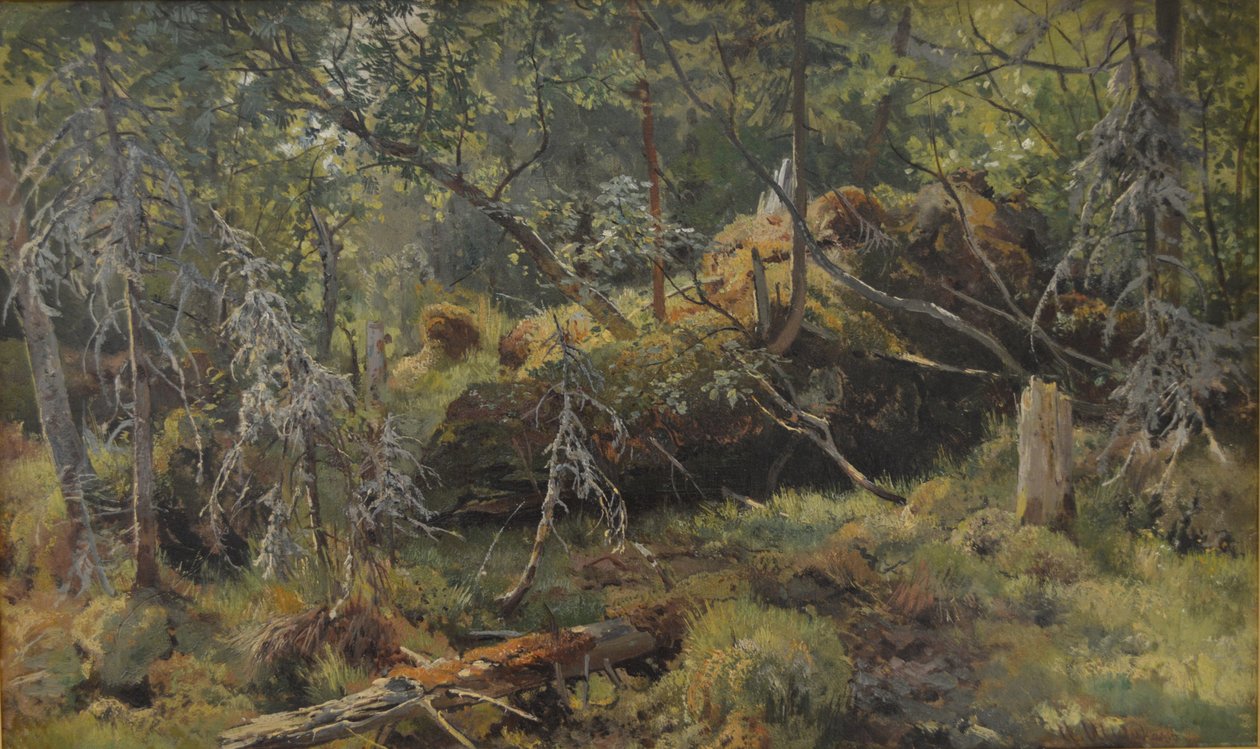 Toimialat. Tutkimus tekijältä Ivan Ivanovich Shishkin