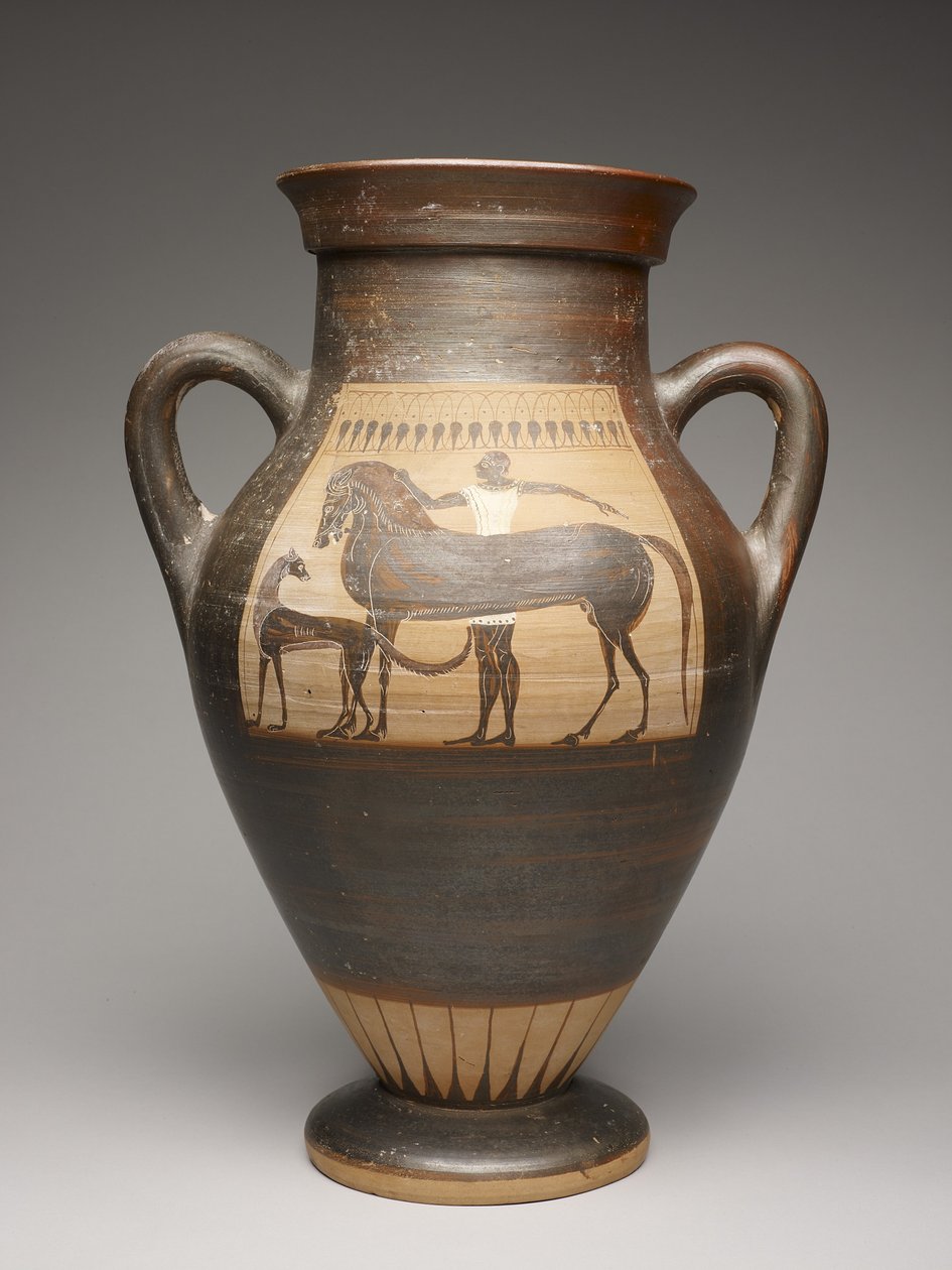 Amphora tekijältä Ivy Leaf Group
