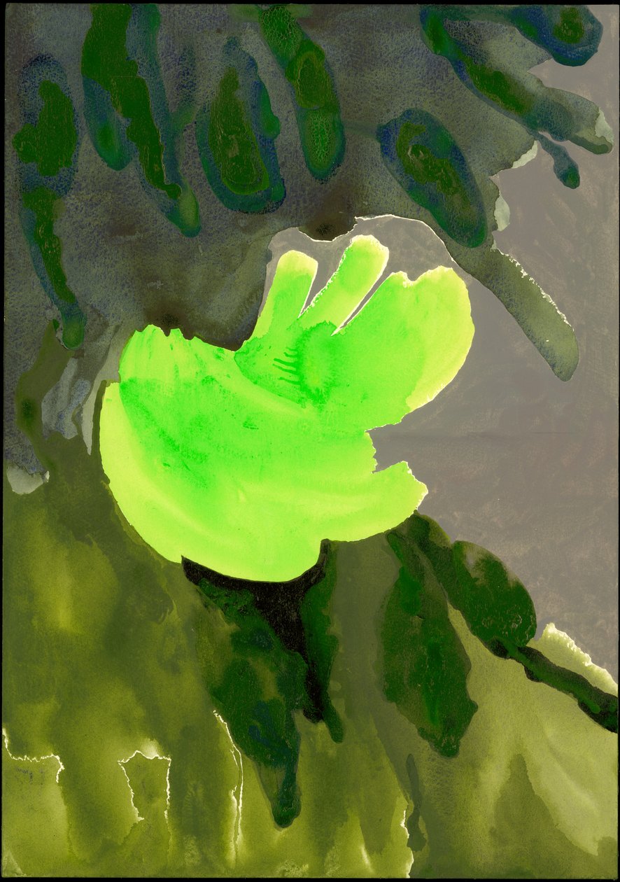 Kensington Gardens -sarja: Leaf Cascade, 2007 (sekoitettu media paperille) tekijältä Izabella Godlewska de Aranda