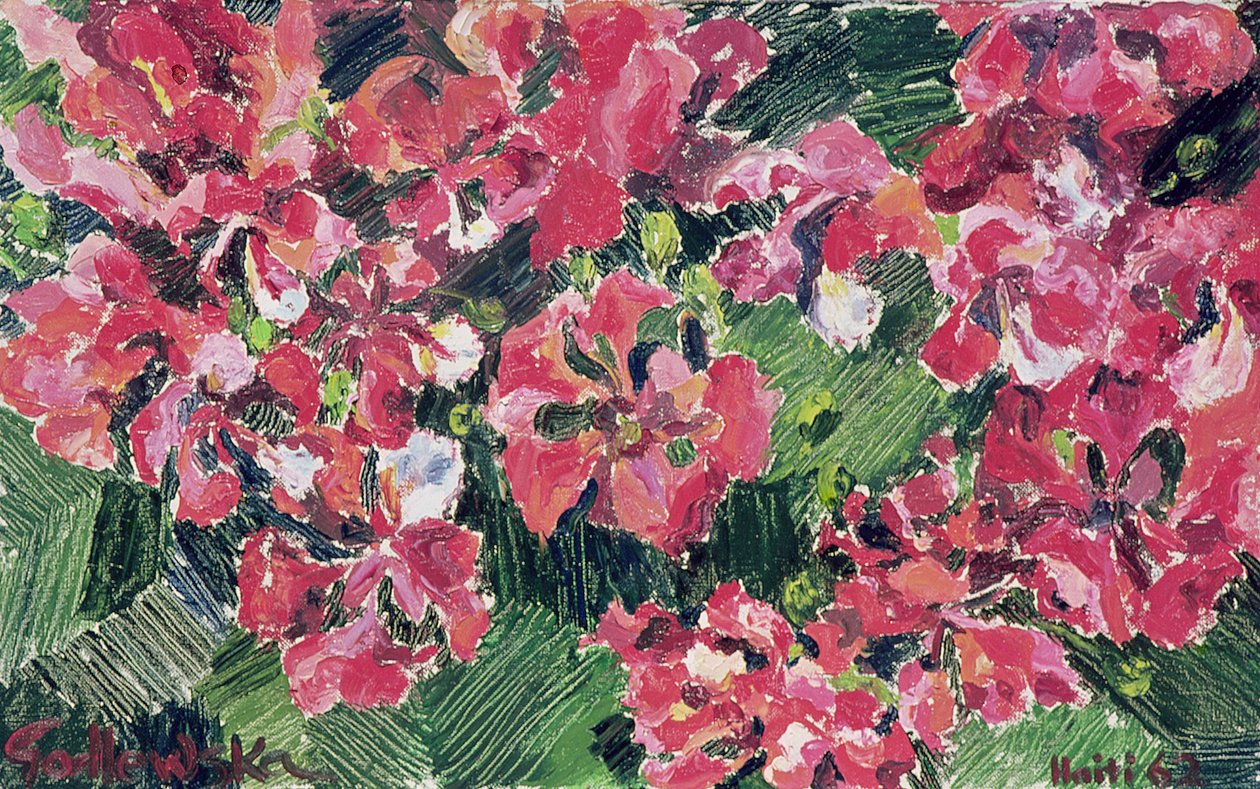 Rhododendron, 1962 tekijältä Izabella Godlewska de Aranda