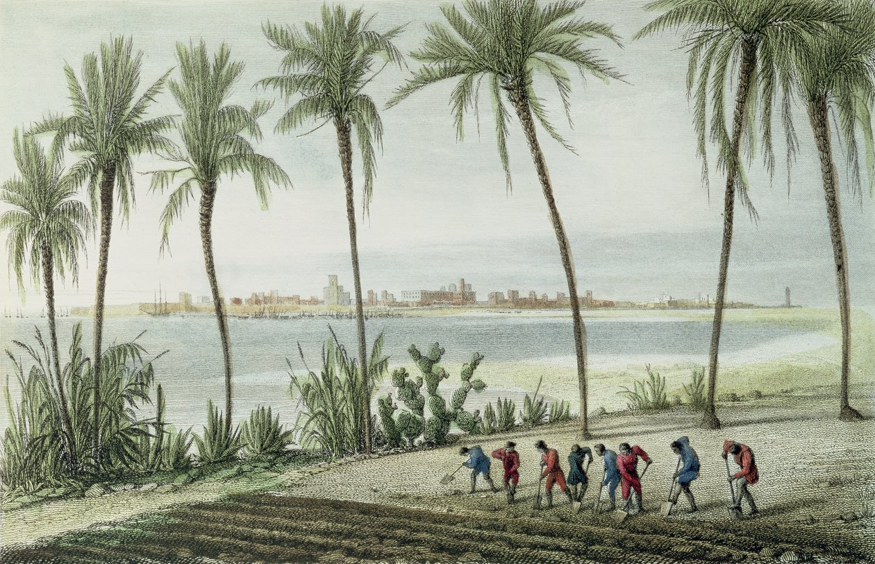 Yleisnäkymä Cádizista, kaivertaja John Pye (1782-1874). tekijältä J. Taylor