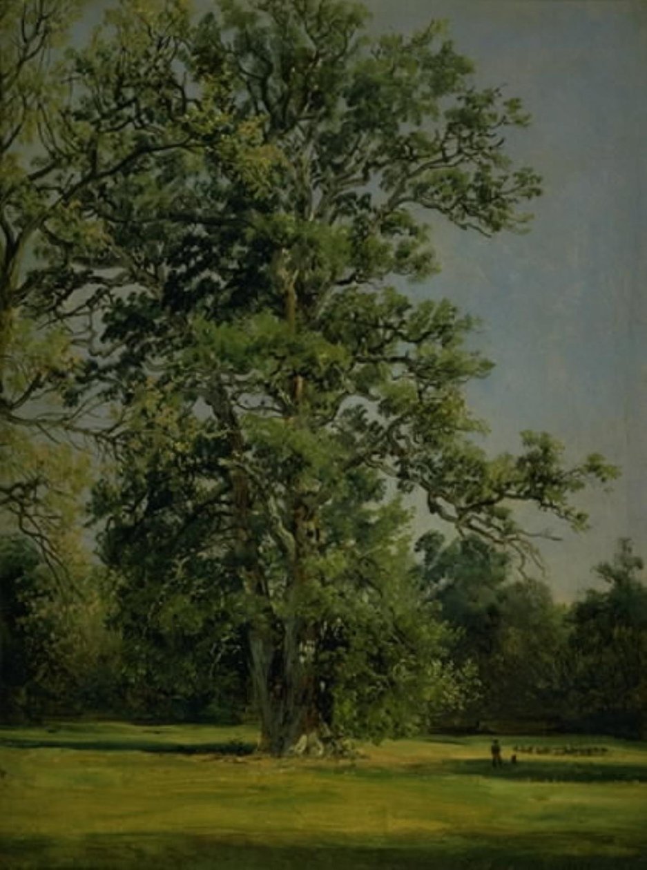 Tammi. Näkymä puutarhaan Wörlitzin lähellä Dessaua tekijältä Johan Christian Dahl