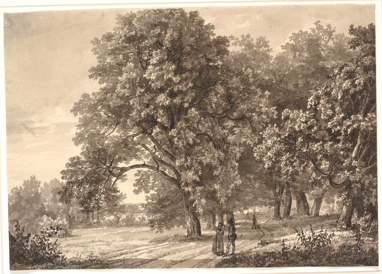 Näkymä tielle metsässä lähellä Sorøa, Seelanti tekijältä Johan Christian Dahl