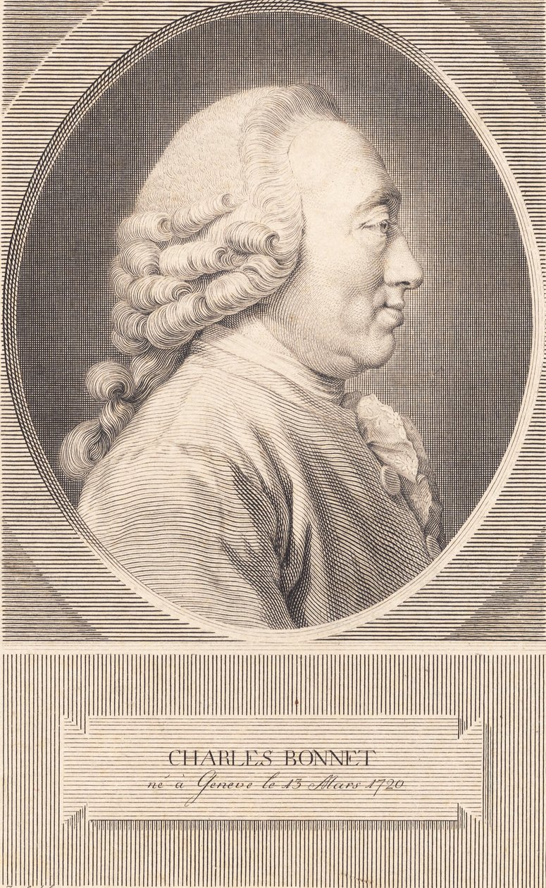 Charles Bonnet tekijältä J.F. Clemens