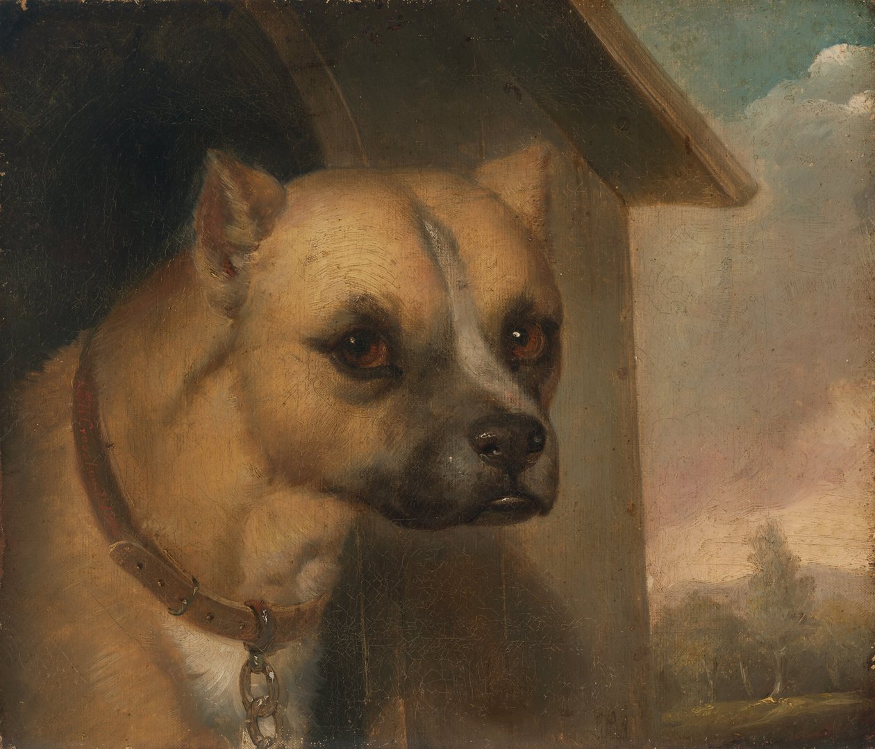 Staffordshiren bullterrieri, joka kuuluu pastori John Gowerille tekijältä J.M. Crossland