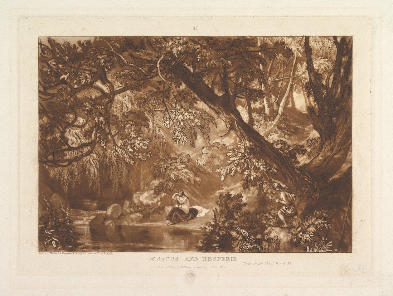 Aesacus ja Hesperia, Video Ovid Metamorphoses, Kirja XI Liber Studiorum, osa X..., 1. tammikuuta 1819. tekijältä Joseph Mallord William Turner