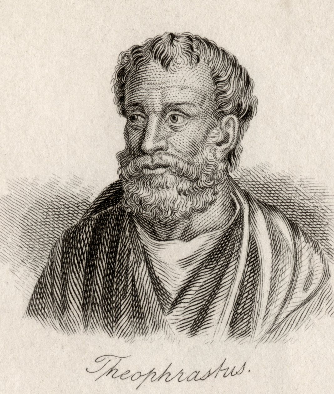 Theophrastus tekijältä J.W. Cook