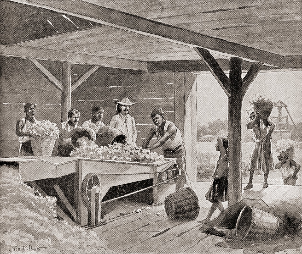 Orjat, jotka työskentelevät 1800-luvun puuvillaginin kanssa istutuslaitoksella Yhdysvaltojen eteläosissa, kirjasta The History of Our Country, julkaistu 1905 (litho) tekijältä J. (after) Steeple Davis