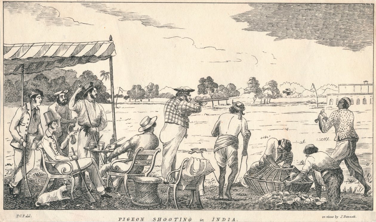 "Kyyhkysten ammunta Intiassa", 1800-luku. tekijältä J Bennett