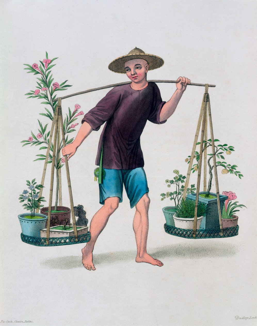 "Porteri hedelmäpuiden ja kukkien kanssa", Kiina, 1800 tekijältä J Dadley