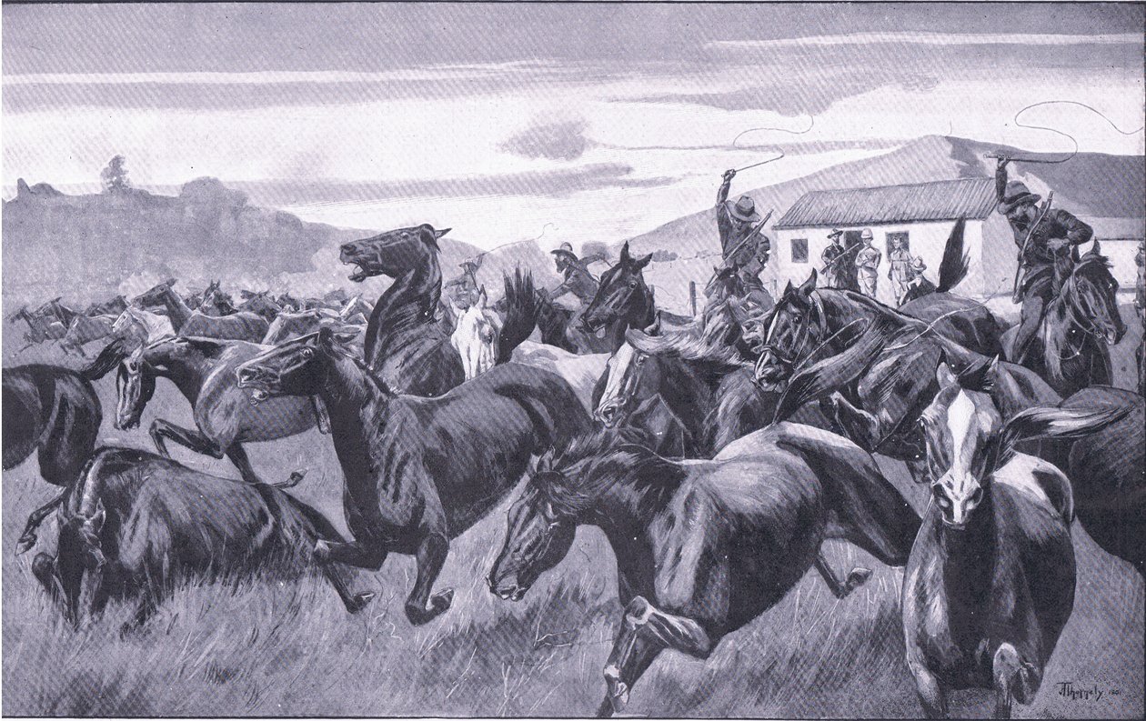 Buurit hyökkäämässä Braamfonteinin Remount Depot -varikolle, teoksesta After Pretoria: The Guerilla War, jonka on julkaissut Harmsworth Bros Limited, 1901. tekijältä J. H. Thornely