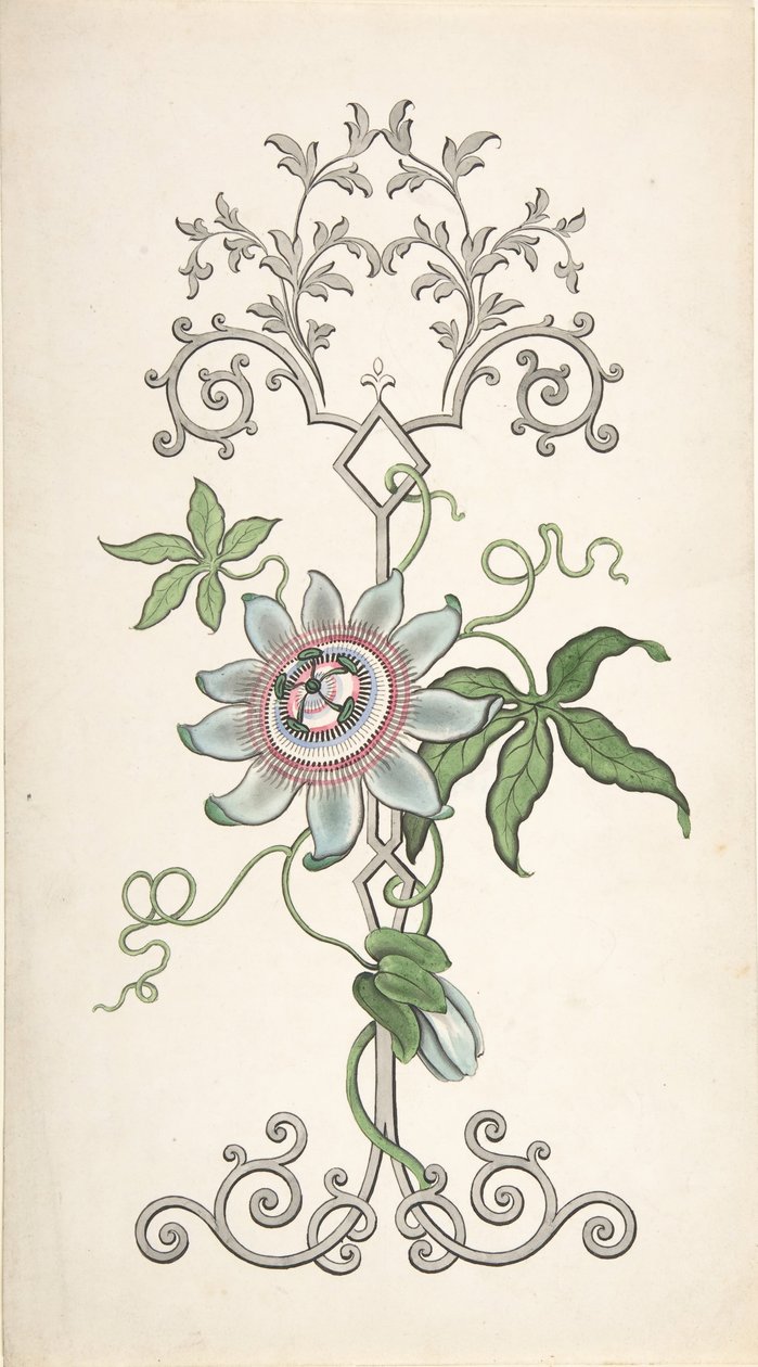 Suunnittelu paneelikoristeelle, jonka keskipiste on intohimokukka, 1828-40. tekijältä J Hulme