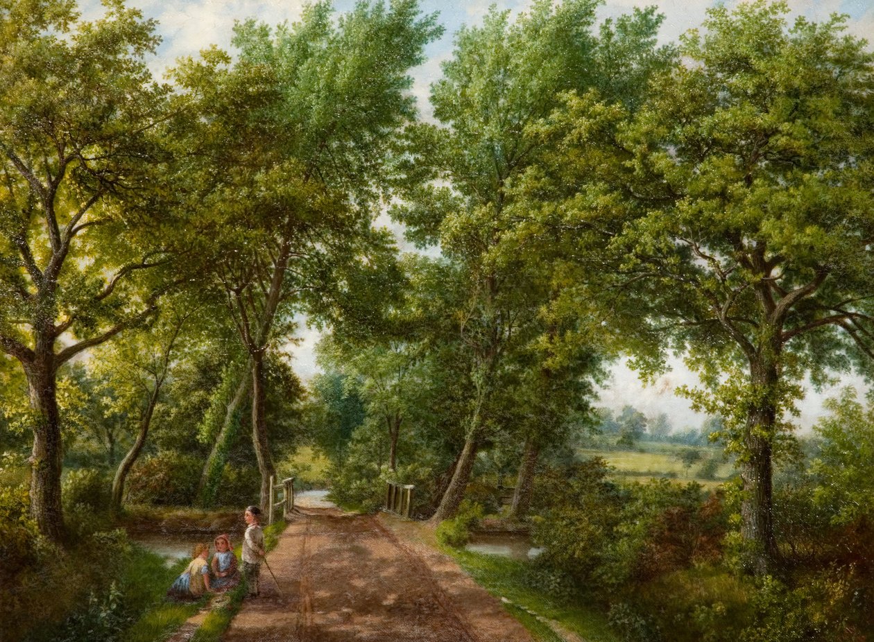 Hob Moor Road Ford, Birmingham, 1870-luku. tekijältä J. Jolly