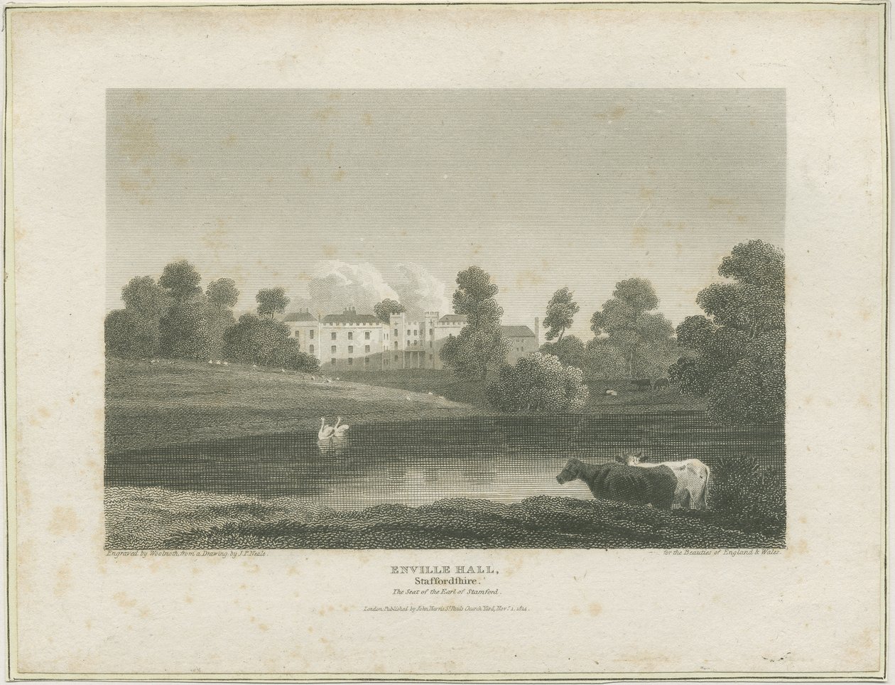 Enville Hall: kaiverrus, nd [c 1814] (painettu) tekijältä John Preston Neale