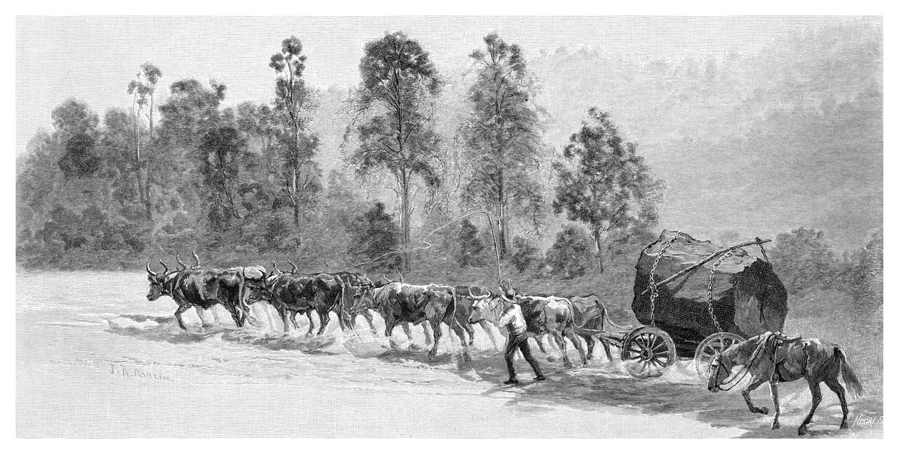Cedar-getting Richmond-joella, New South Wales, Australia, 1886. tekijältä J. R. Ashton