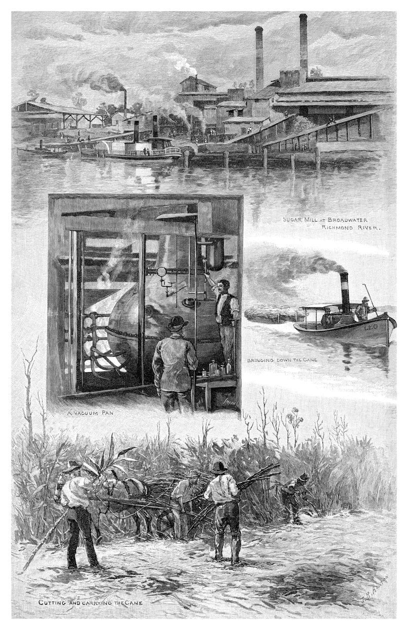 Sokeriteollisuus, Richmond River, New South Wales, Australia, 1886. tekijältä J. R. Ashton