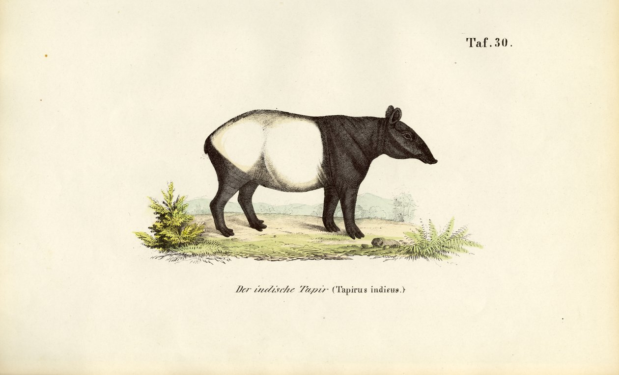 Malaijin tapiiri tekijältä J. W. Tenhaeff