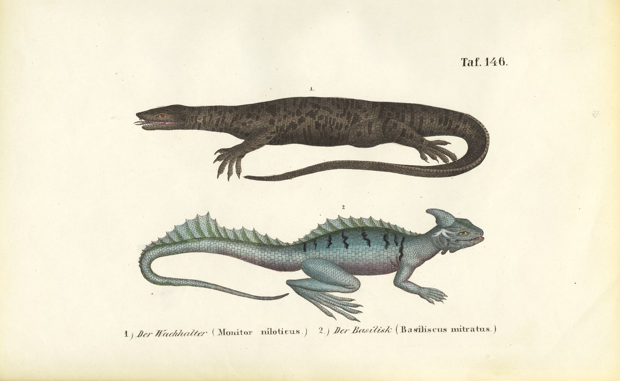 Niilimonitori ja Plumed Basilisk tekijältä J. W. Tenhaeff