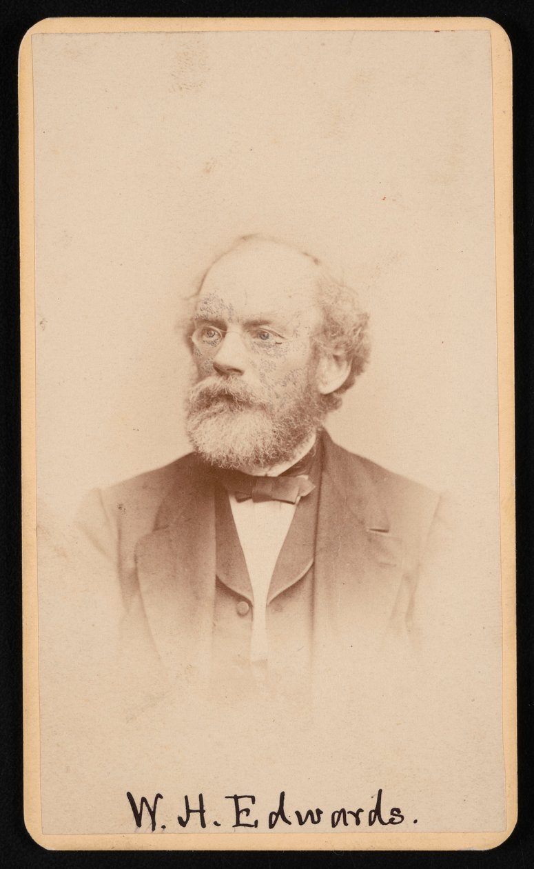 William Henry Edwardsin muotokuva 1822-1909, noin 1870-1880-luku. tekijältä J and W Vincent