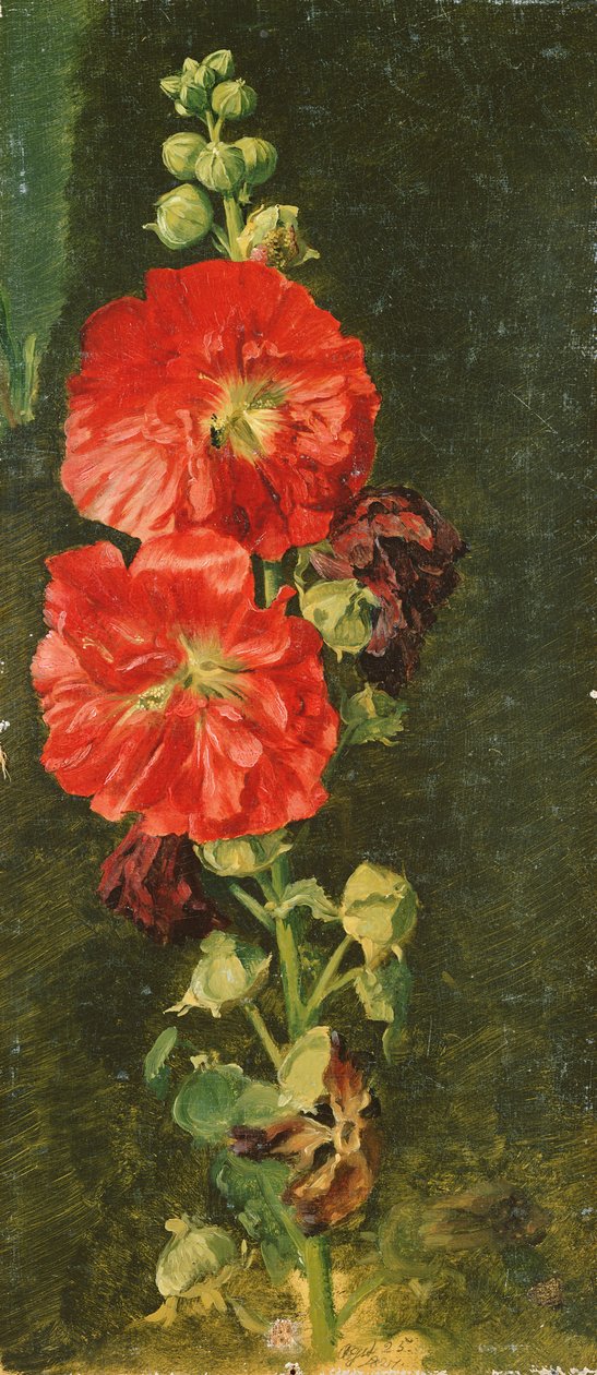 A Stockrose, 1827 tekijältä Jacob Gensler