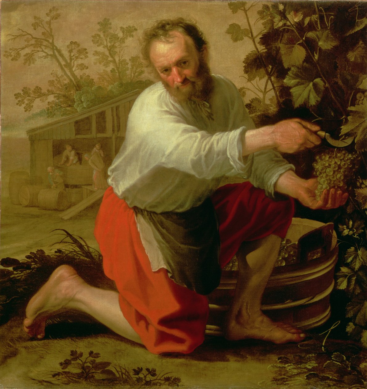 Viininviljelijä, 1628 tekijältä Jacob Gerritsz Cuyp