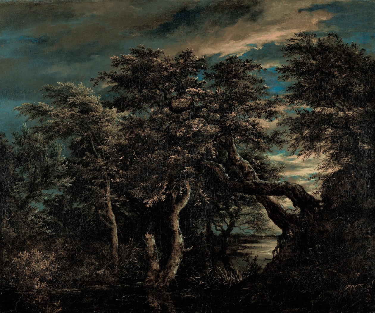 Marsh metsässä hämärässä tekijältä Jacob van Ruisdael