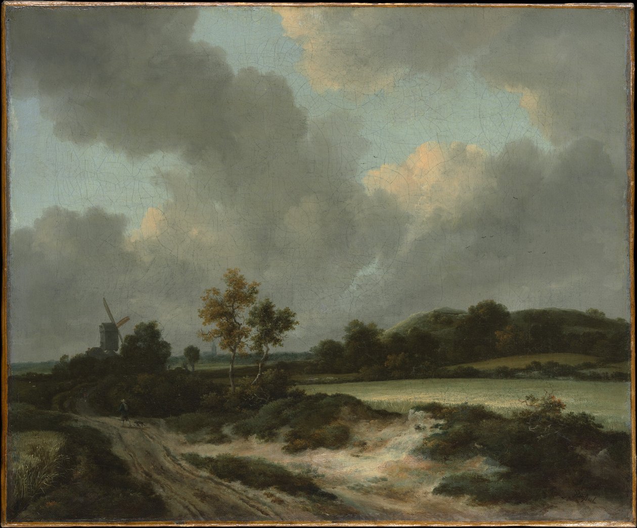 Viljapelto tekijältä Jacob van Ruisdael