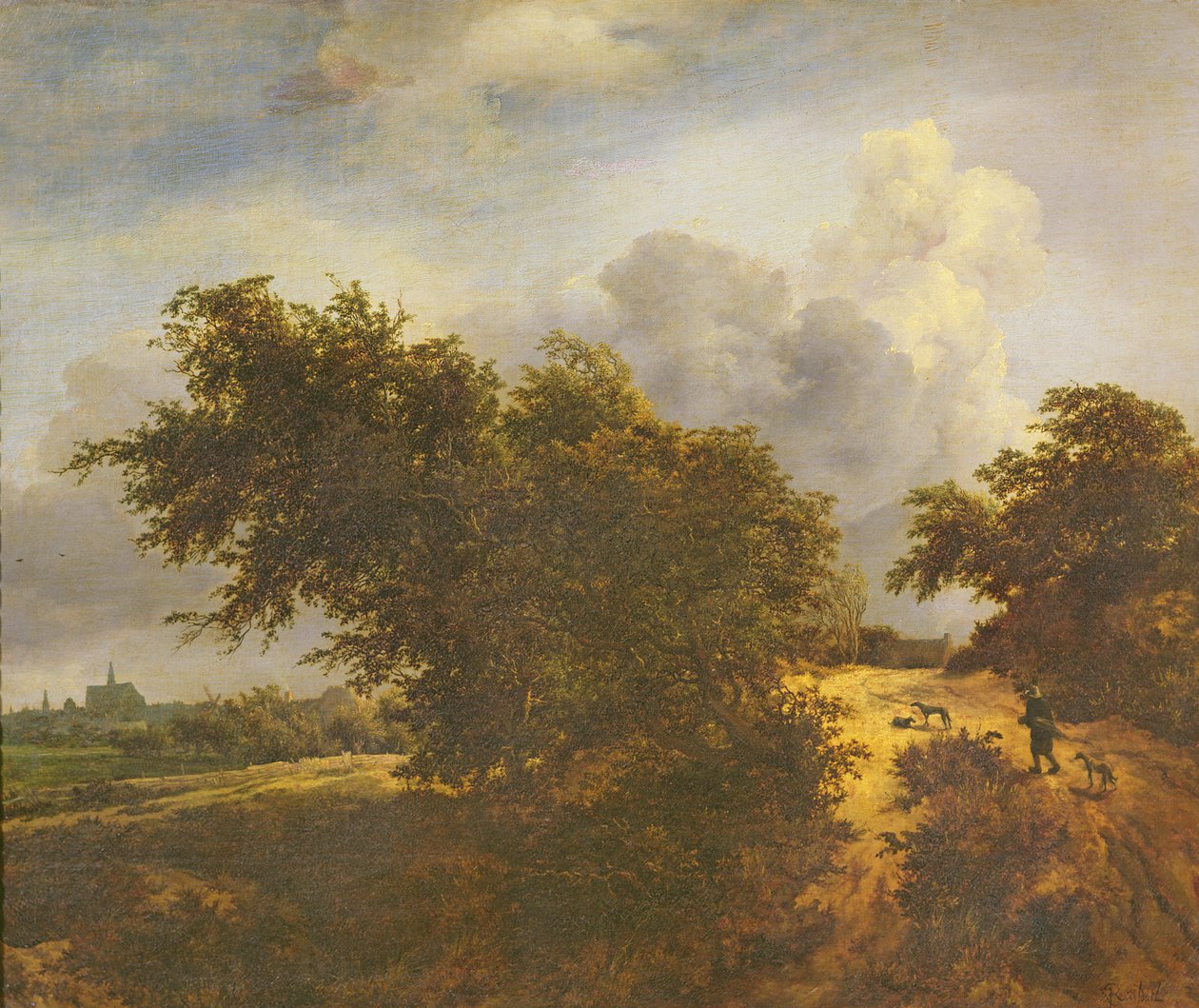 Pensas tekijältä Jacob van Ruisdael
