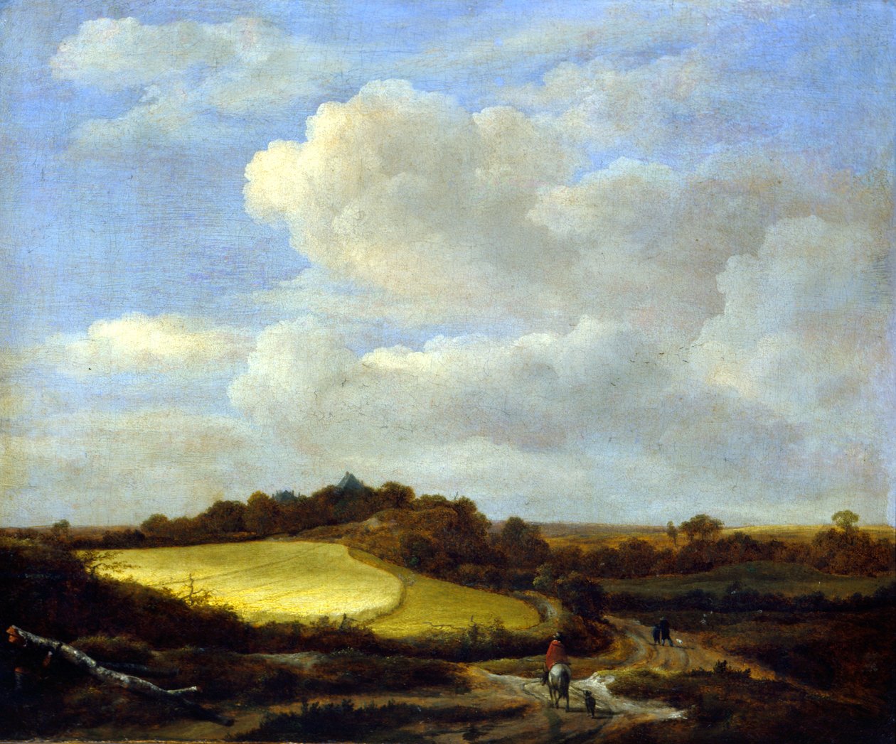 Vehnäpelto tekijältä Jacob van Ruisdael