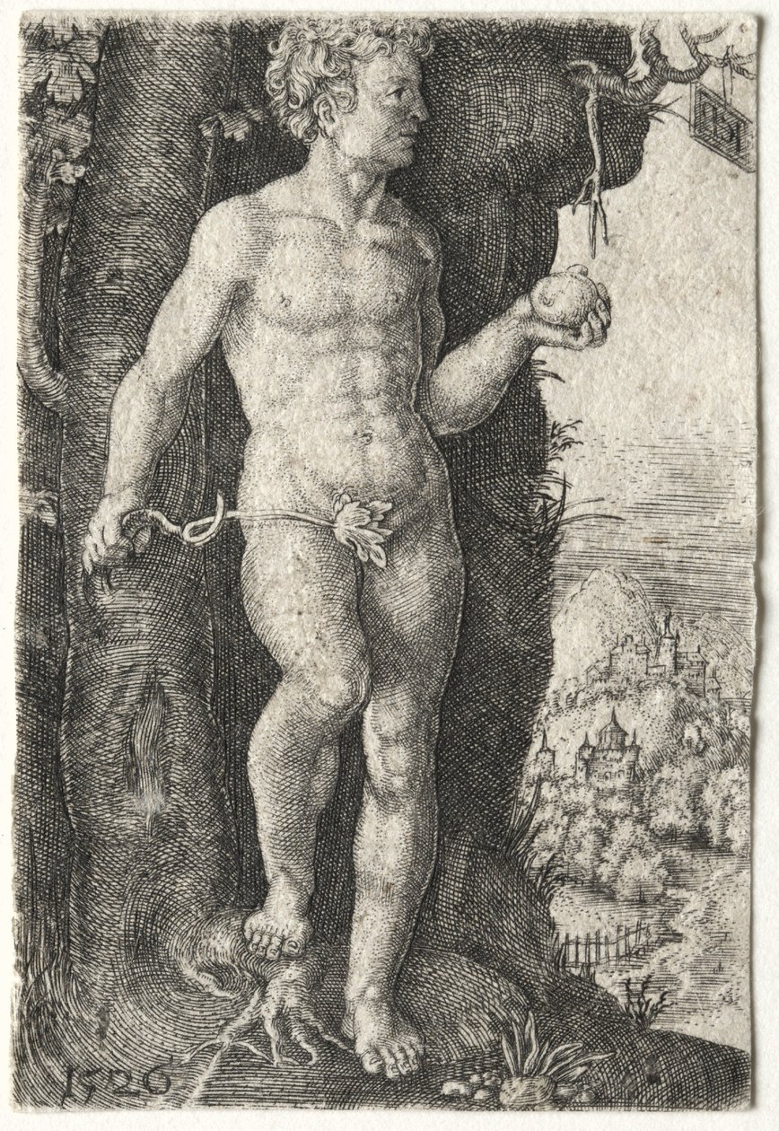 Adam, 1526. tekijältä Jacob Binck