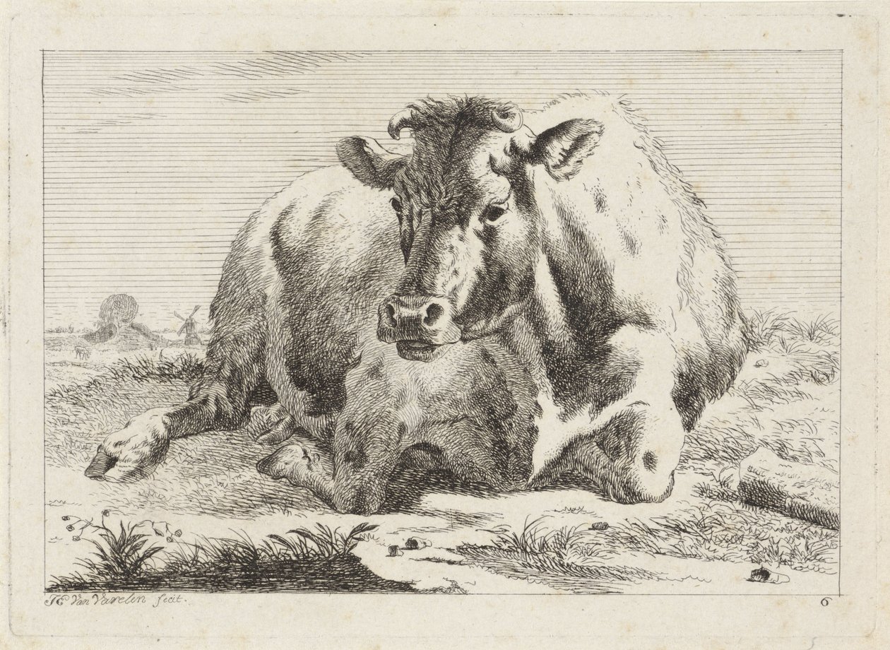 makaava lehmä Kuusi vedosta eri mestareiden piirustusten jälkeen (sarjan nimi) tekijältä Jacob Elias van Varelen
