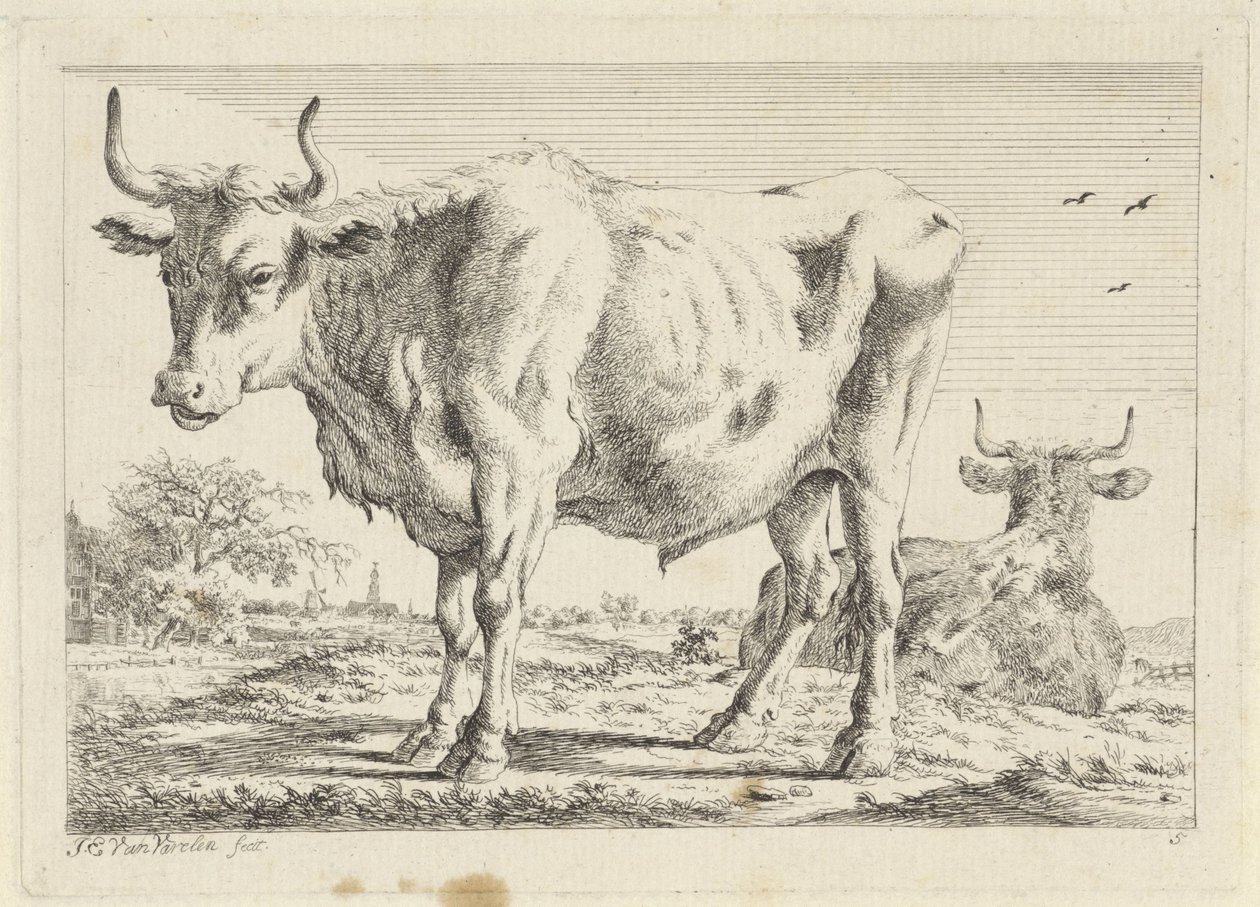 Seisova ja makaava härkä Kuusi vedosta eri mestareiden piirustusten jälkeen (sarjan nimi) tekijältä Jacob Elias van Varelen