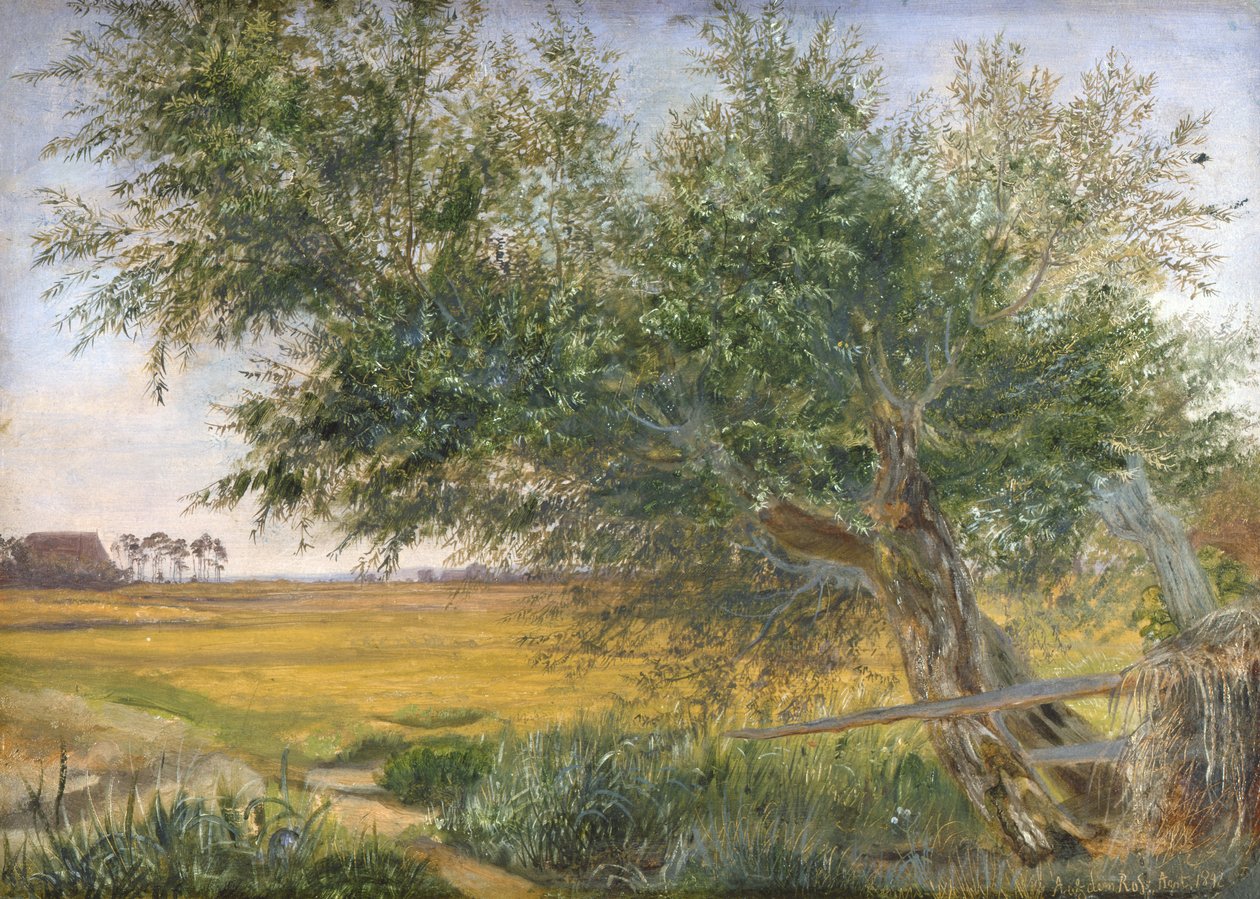 Vanha puu, 1842 (öljy paperille kiinnitetty korttiin) tekijältä Jacob Gensler