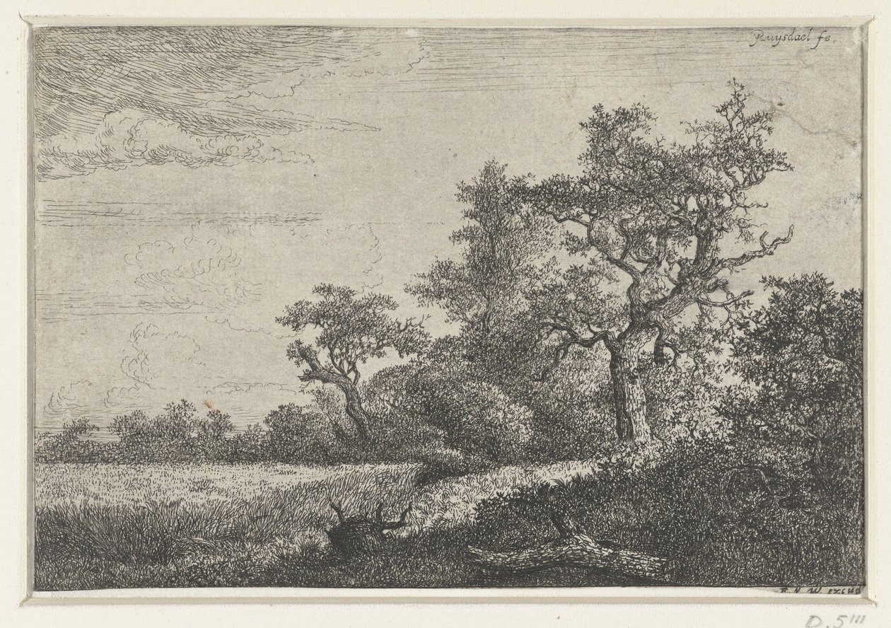 Maissipelto tekijältä Jacob van Ruisdael
