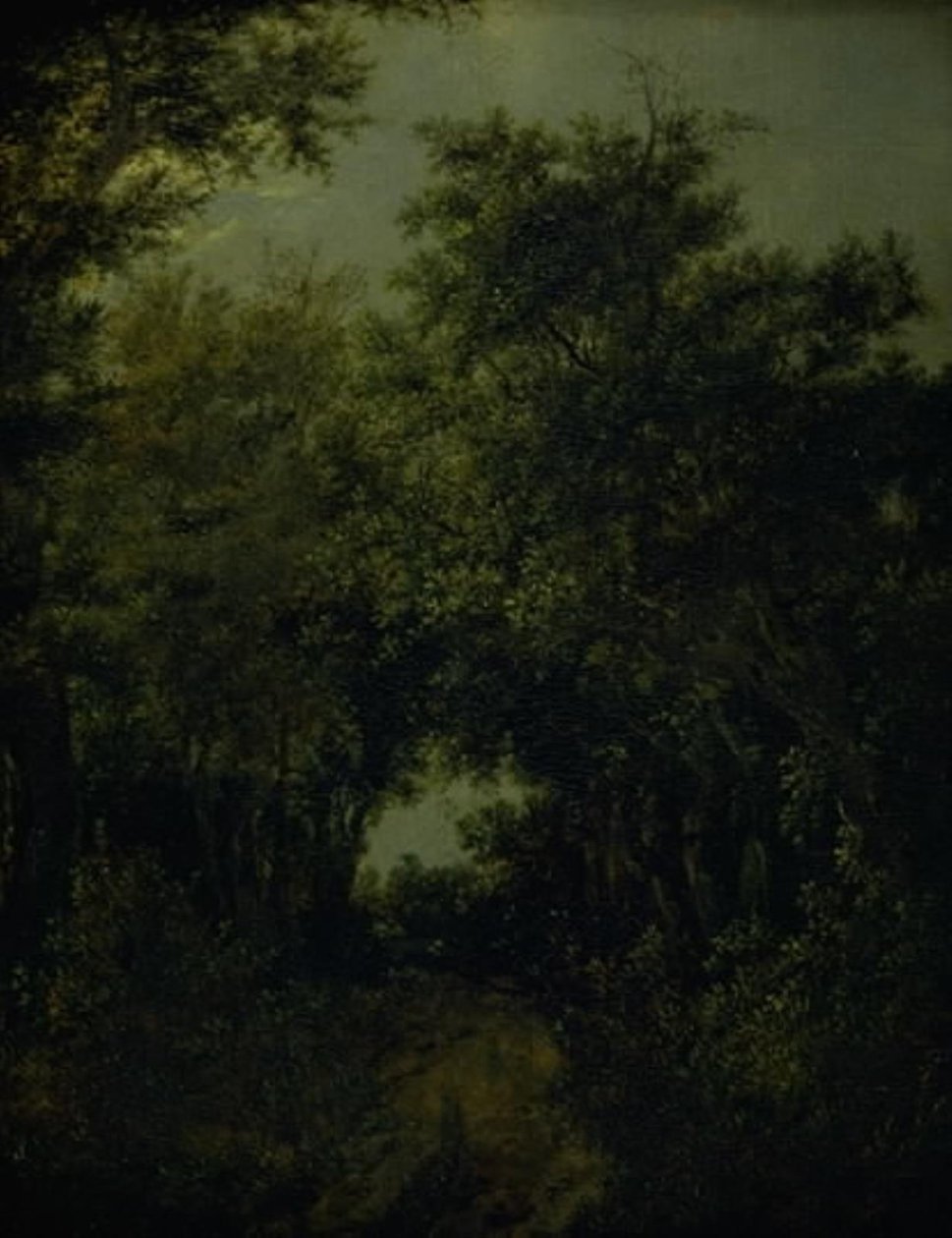 Tie tammimetsässä tekijältä Jacob van Ruisdael